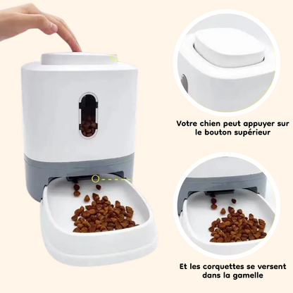 Pressure-operated kibble dispenser