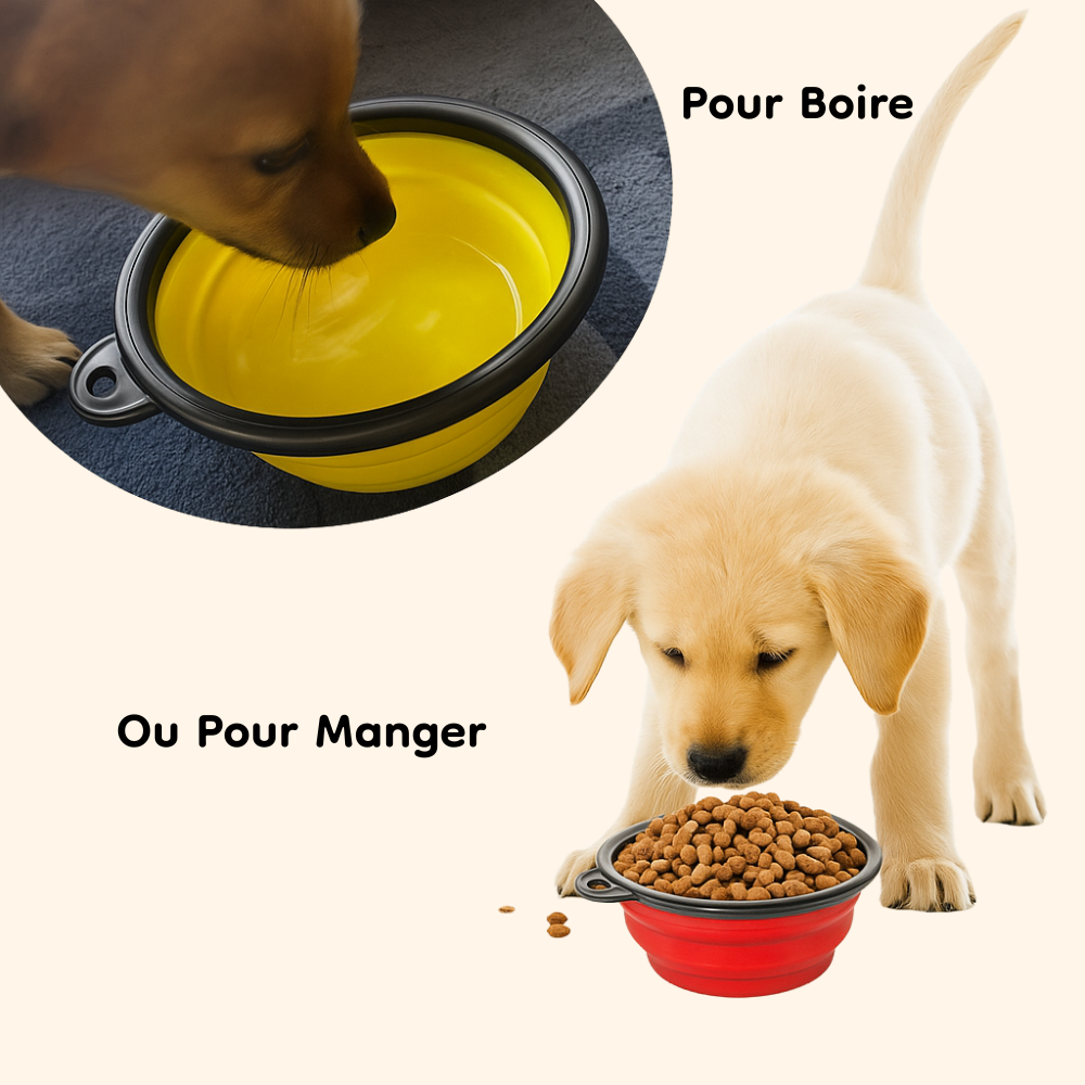 Foldable bowl