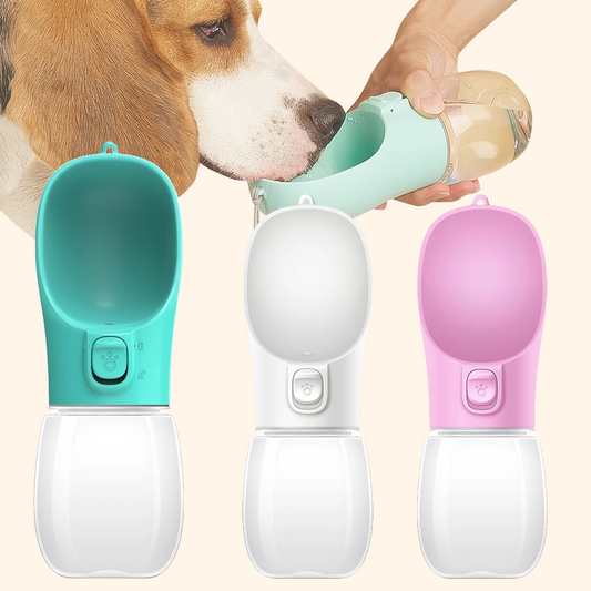 Walking Water Bottle