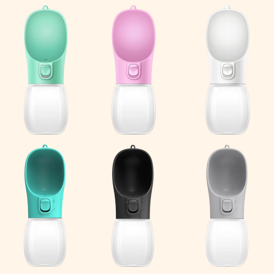 Walking Water Bottle