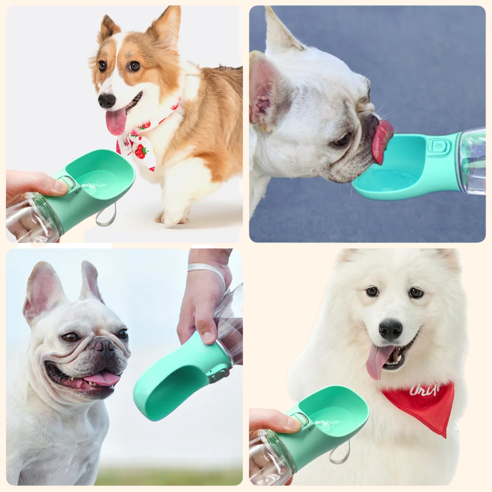 Walking Water Bottle