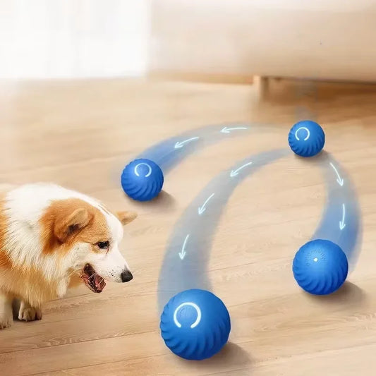 Balle Interactive Rechargeable