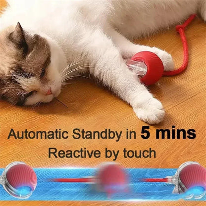 Jouet Autonome