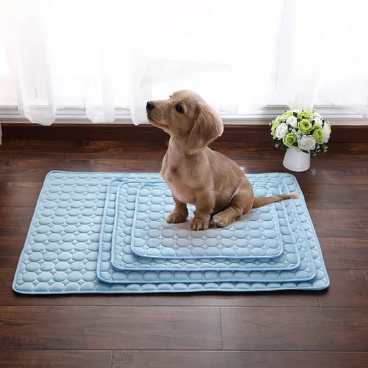 Tapis rafraîchissant