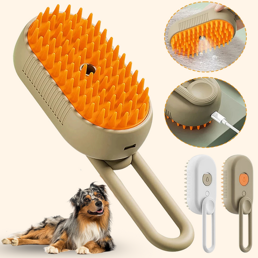 Brosse Vapeur 3 en 1 Rechargeable