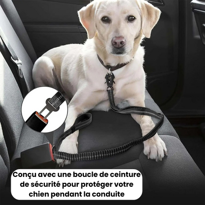 High Absorption Anti-Shock Leash
