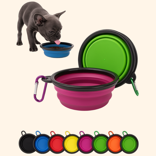 Foldable bowl