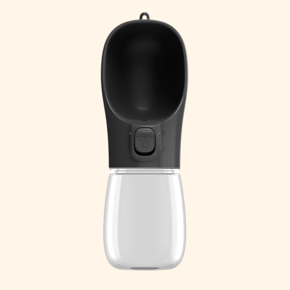 Walking Water Bottle