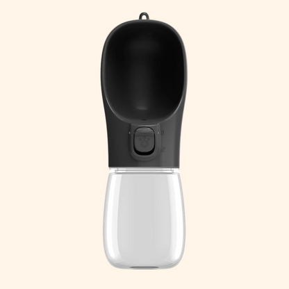 Walking Water Bottle
