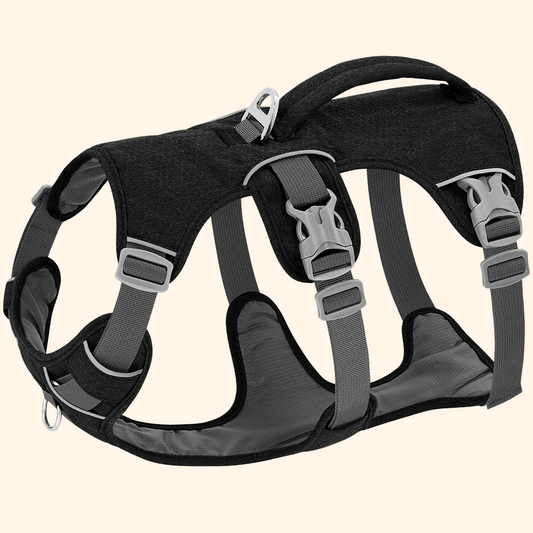 Reflective Harness