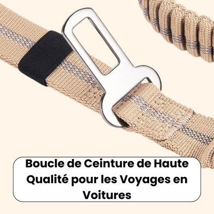 High Absorption Anti-Shock Leash