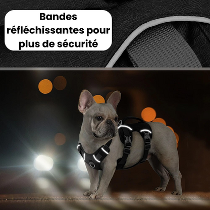 Reflective Harness