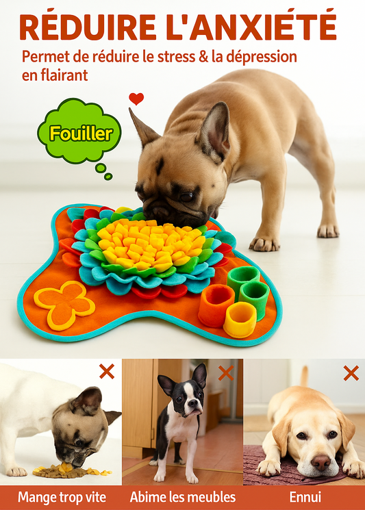 Search Mat